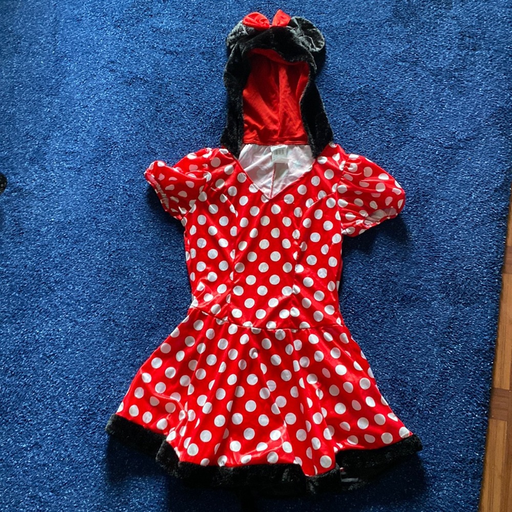 Adult Minnie Mouse dress costume
